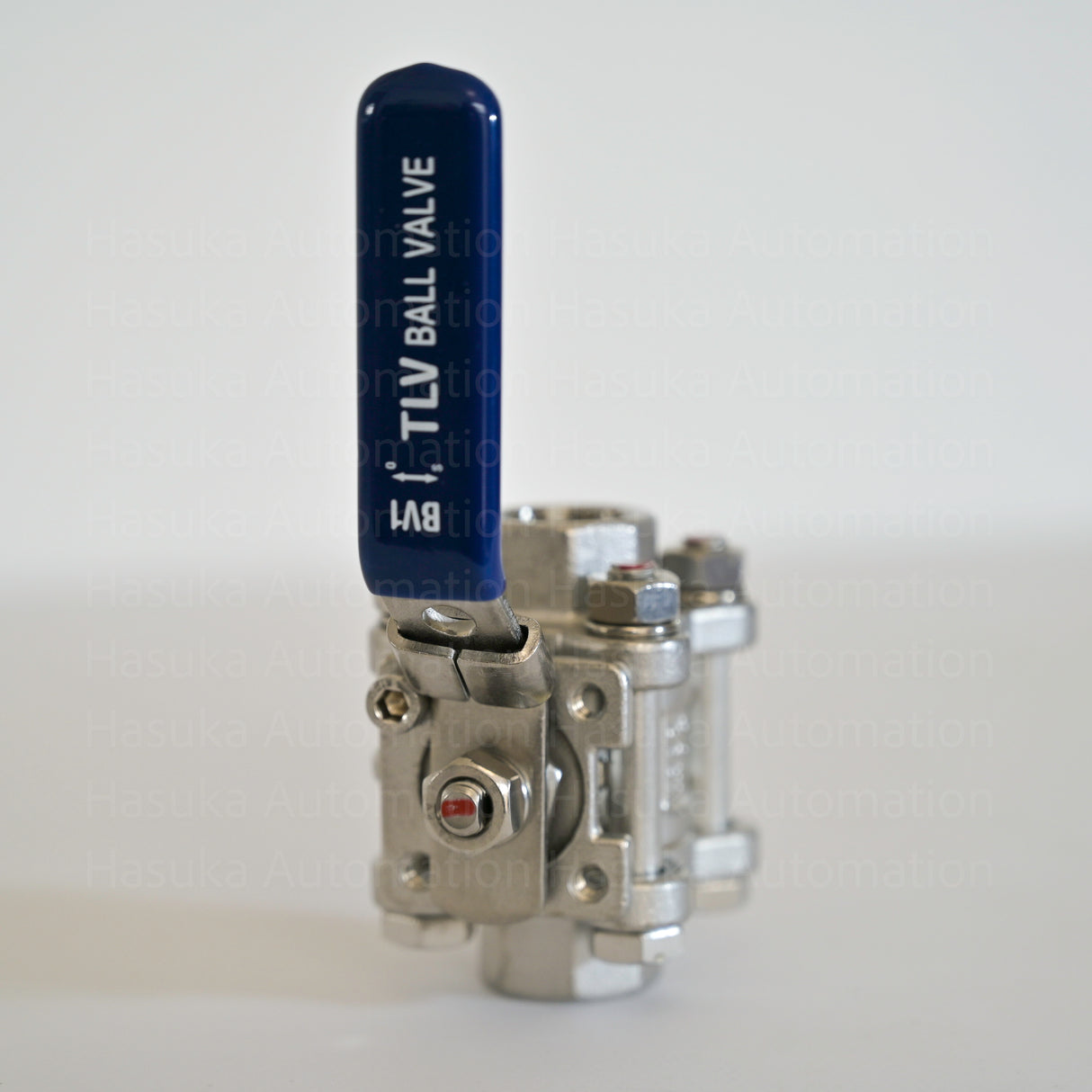1/2" BV1 Ball Valve CF8 TLV