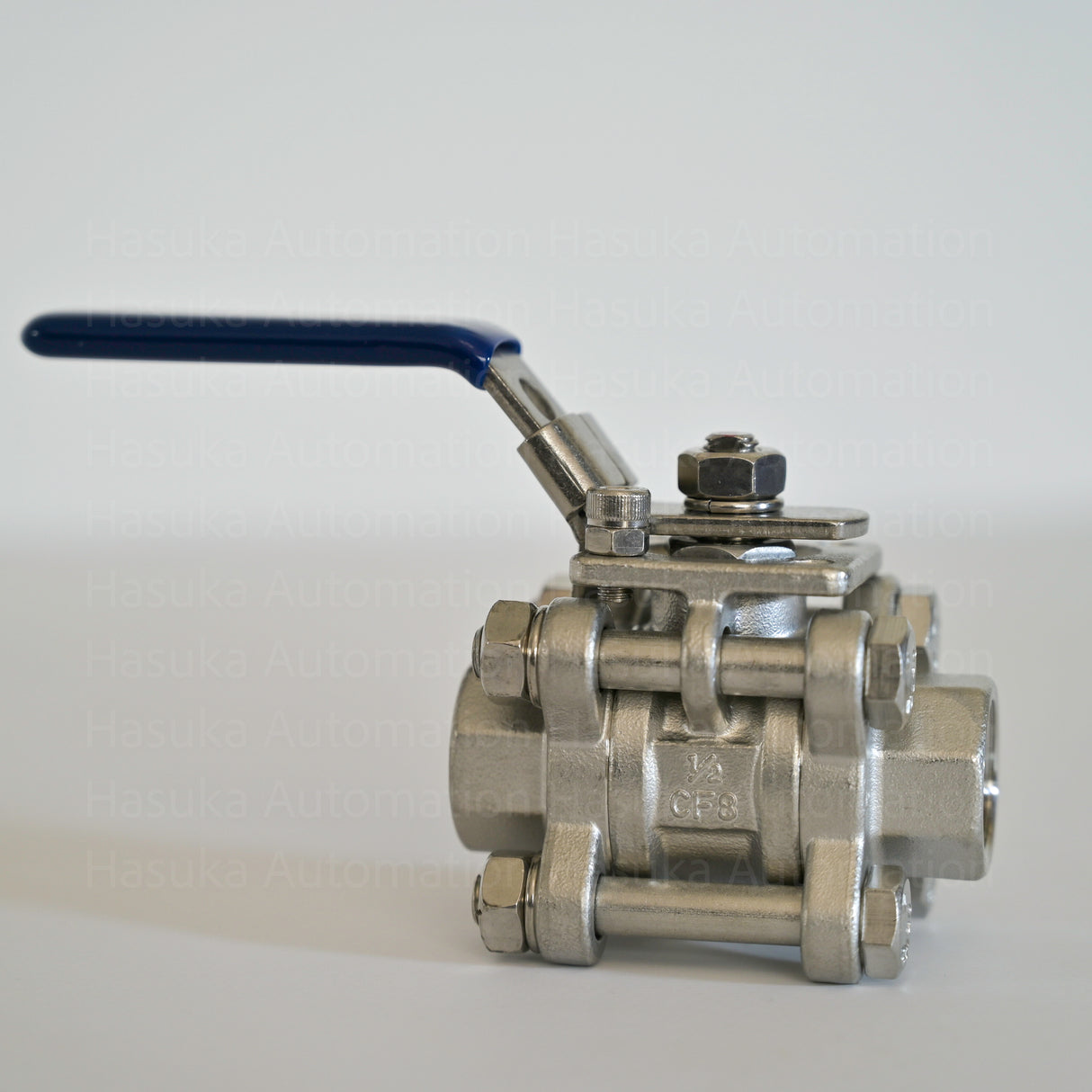 1/2" BV1 Ball Valve CF8 TLV