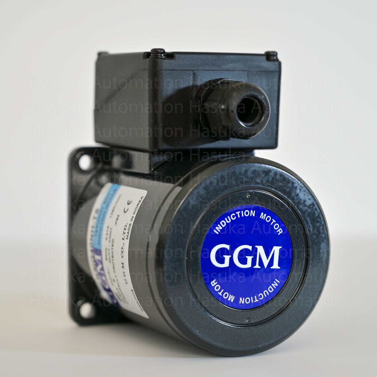K9IG40NH-T5 Induction Motor GGM