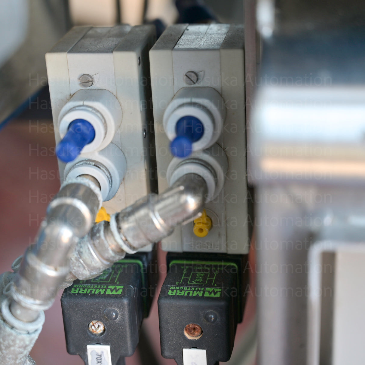 MULTIVAC Variable Speed End Conveyor