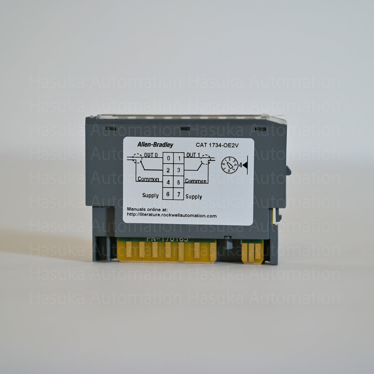 1734-OE2V Analog Output Module Allen-Bradley