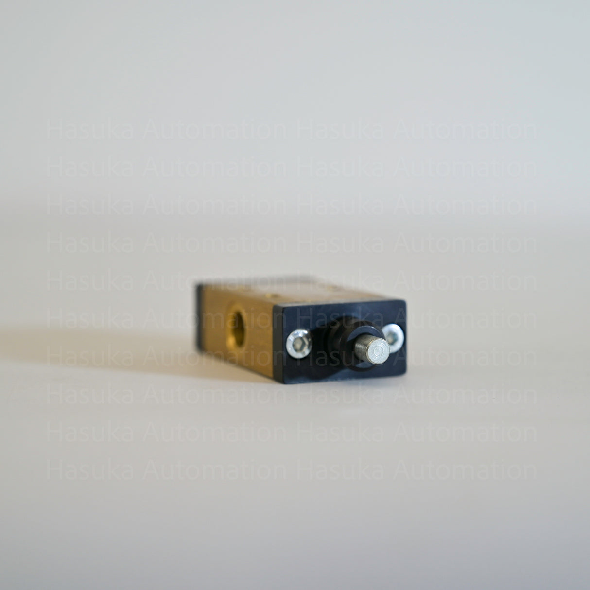 228.32.7.1/3 Palm Switch Valve Pneumax