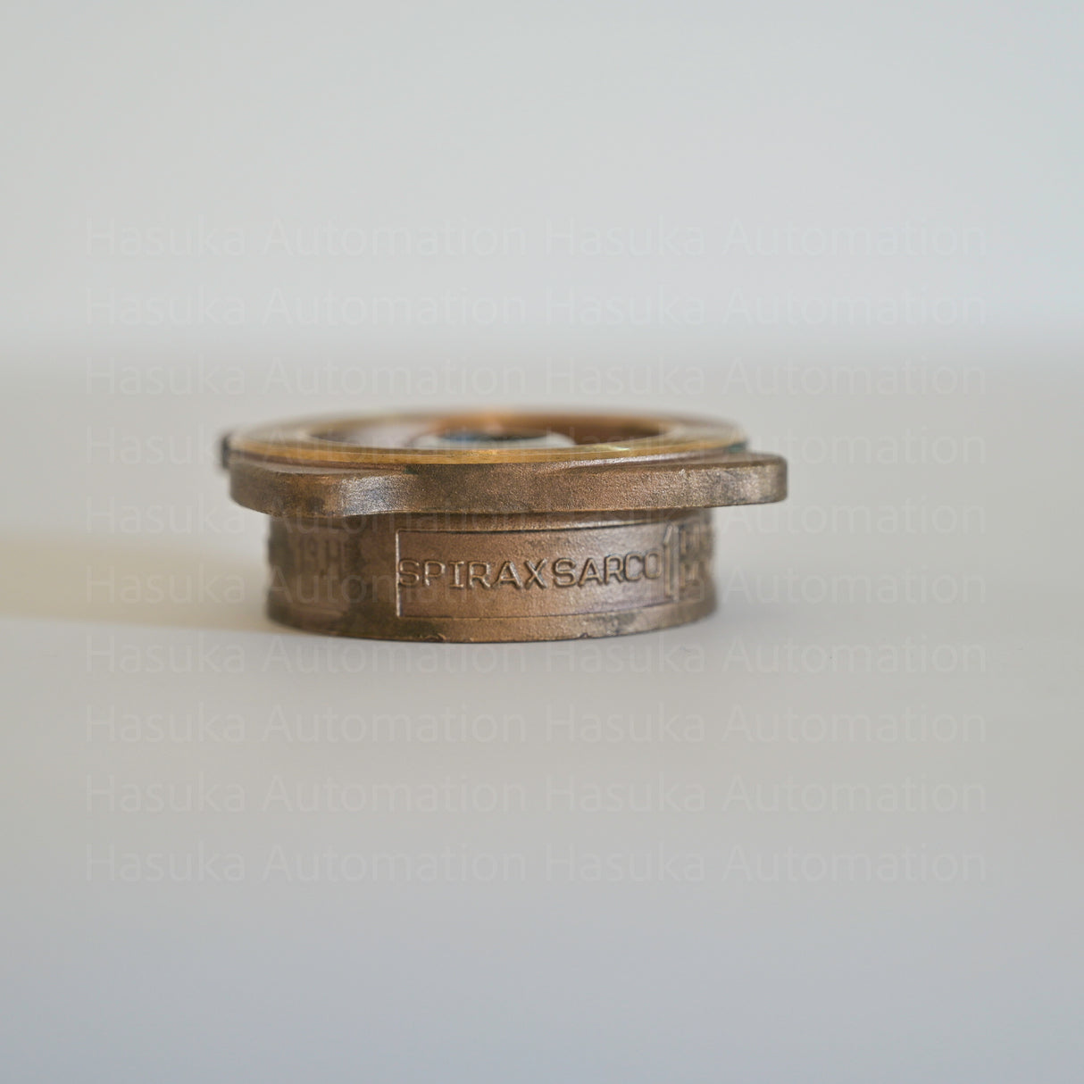 DCV1 DN25 1340290-0 Disc Check Valve Spirax Sarco