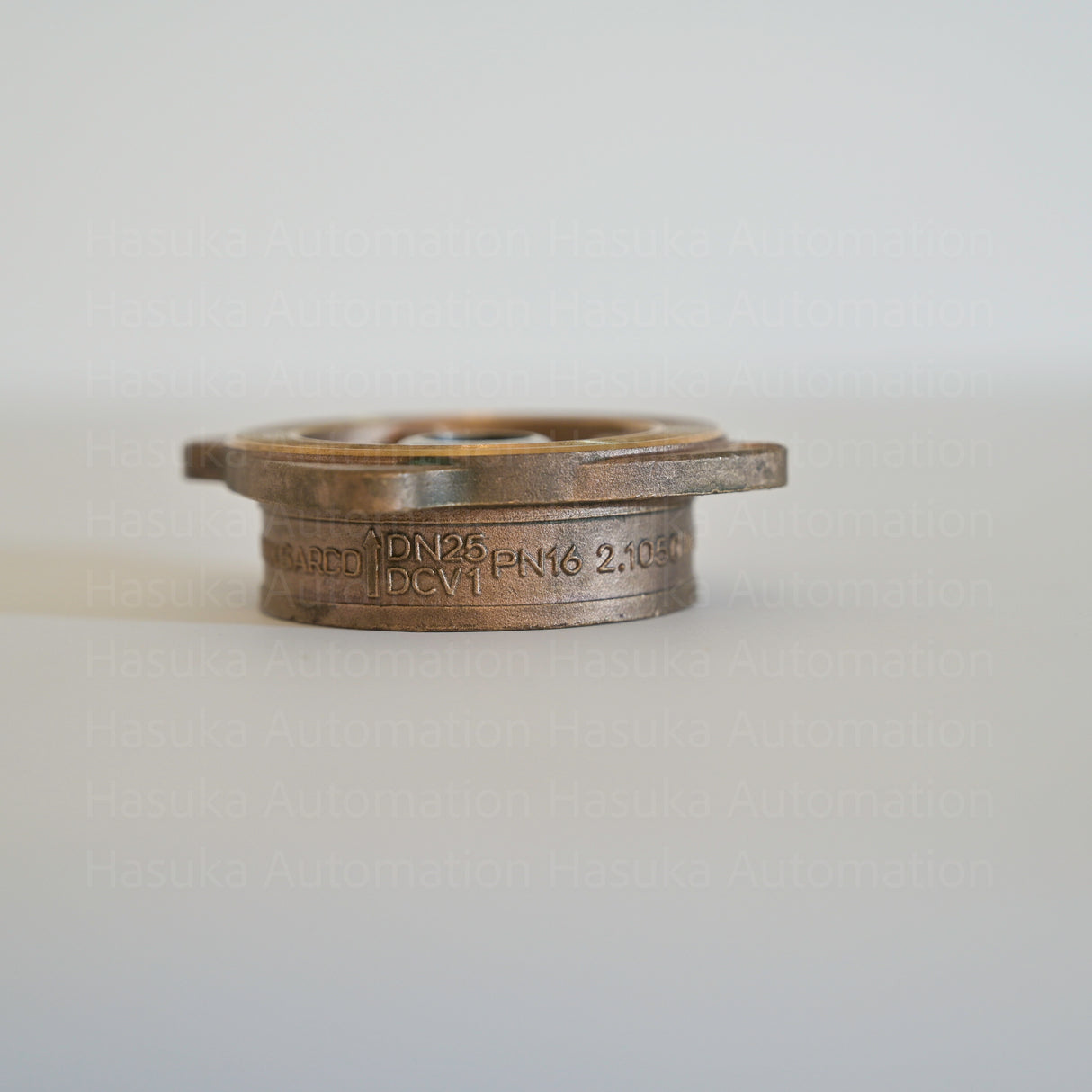 DCV1 DN25 1340290-0 Disc Check Valve Spirax Sarco