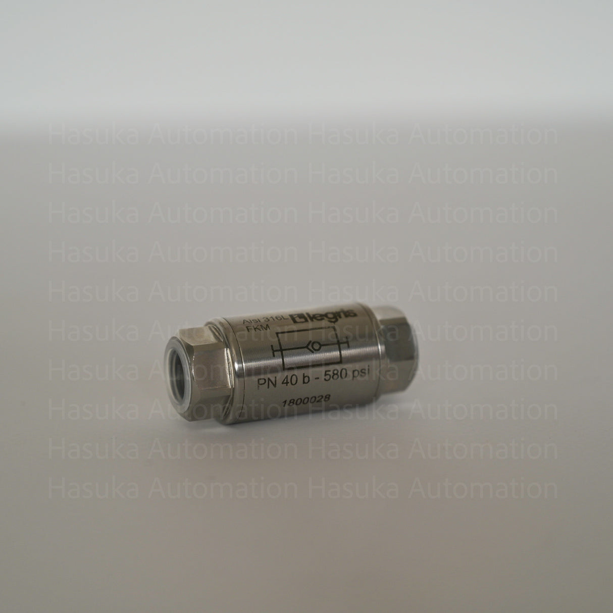 LE 48901313 Stainless Steel Single Non Return Valve Legris
